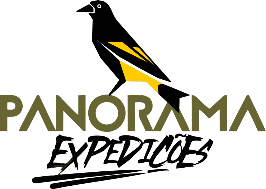 Logo Panorama Expedições Chapada das Mesas